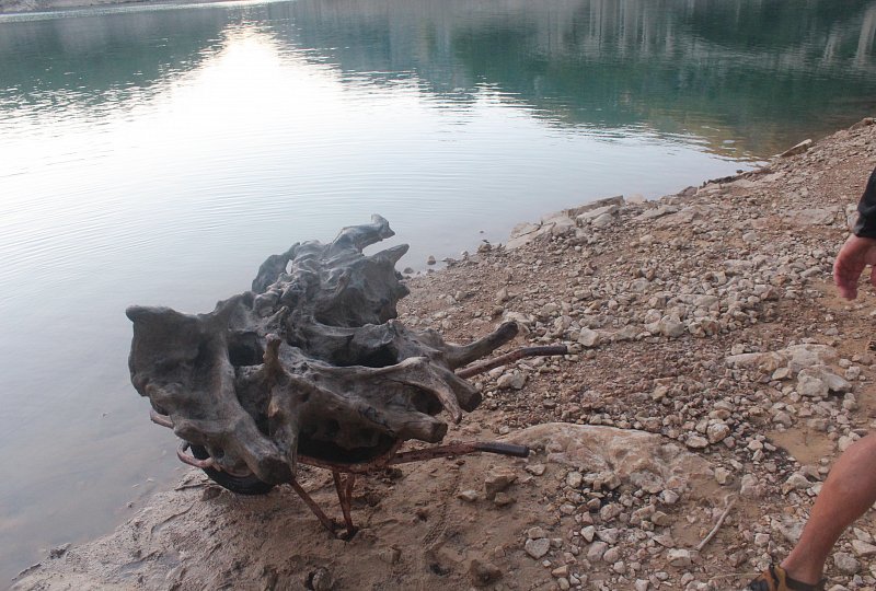 Entdeckt jemand die Schubkarre? Hier bekommt man eine leise Ahnung davon wie groß diese Wurzel ist.