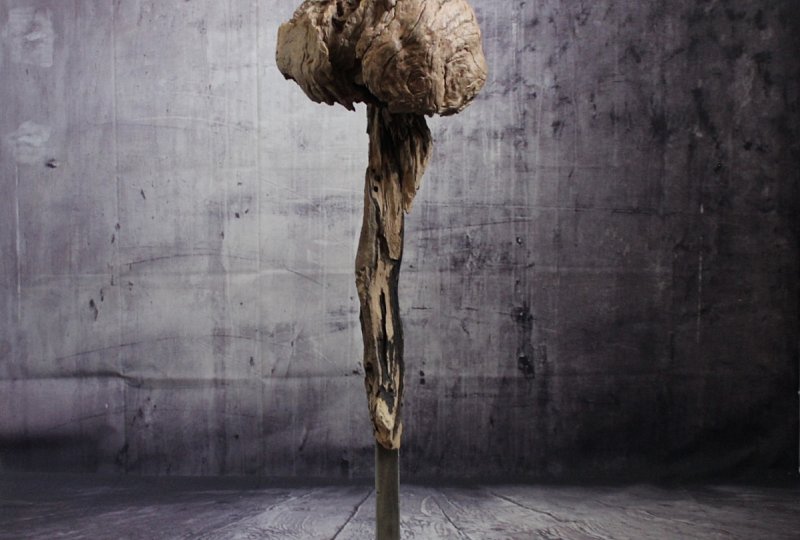 Skulptur Vogesenhirn