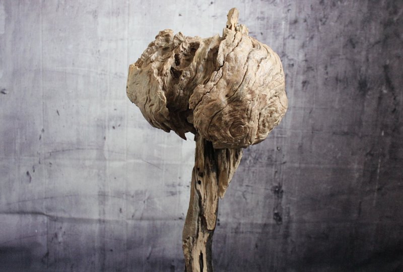 Skulptur Vogesenhirn