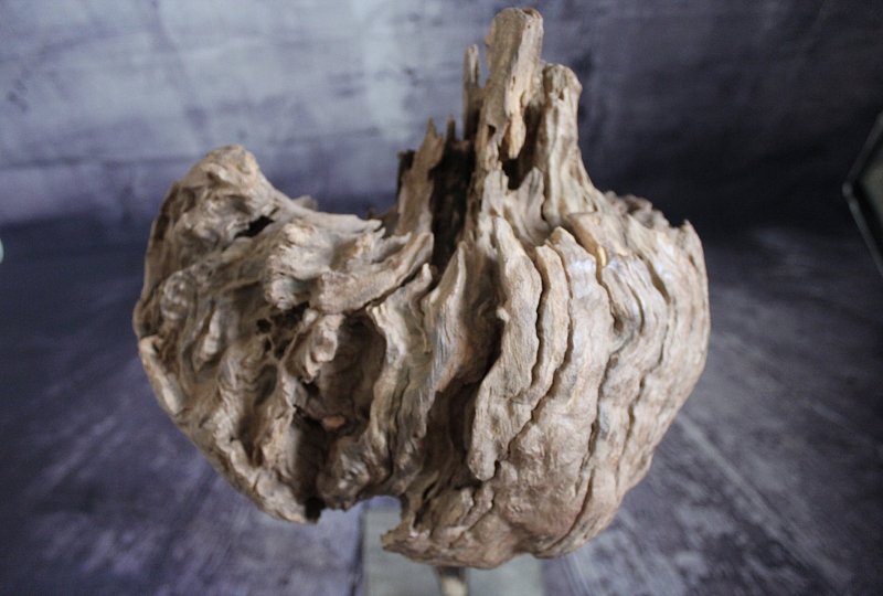 Skulptur Vogesenhirn