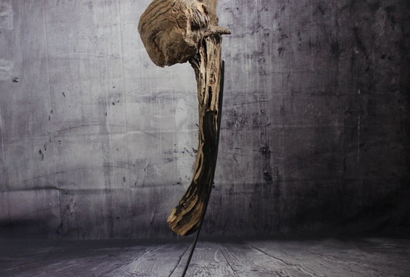 Skulptur Vogesenhirn