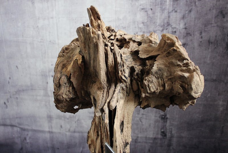 Skulptur Vogesenhirn