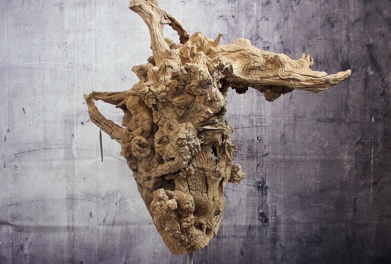 Sculpture Stone and olive