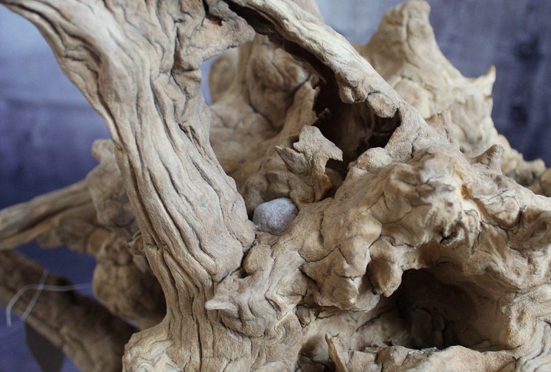 Sculpture Stone and olive