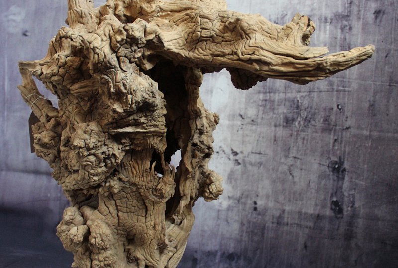 Sculpture Stone and olive