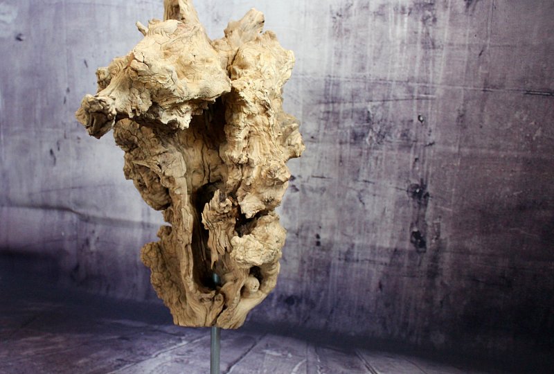 Sculpture Stone and olive