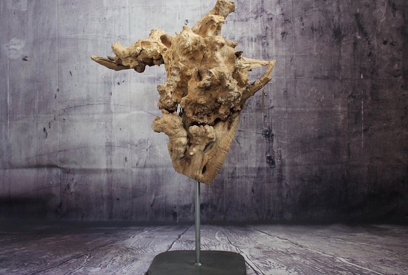 Sculpture Stone and olive