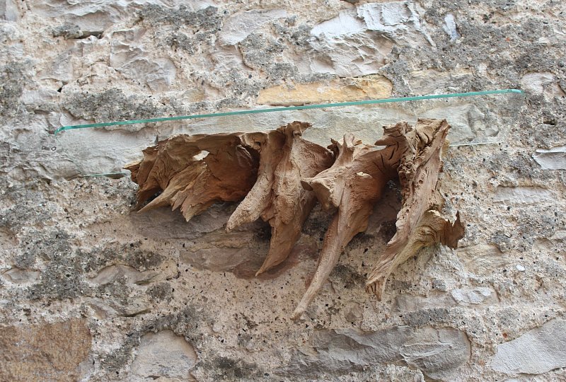 Wandregal mit Glasboden