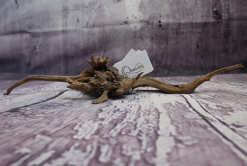 business card holder