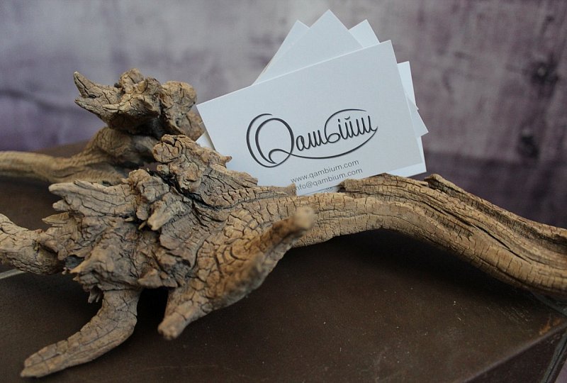 business card holder