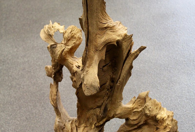 Extravagant fruit bowl