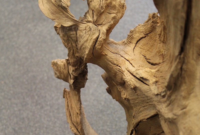 Extravagant fruit bowl