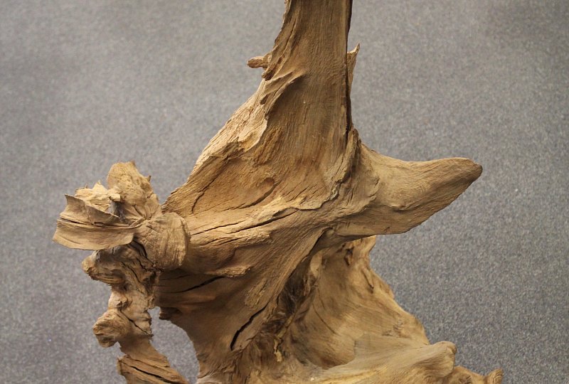 Extravagant fruit bowl